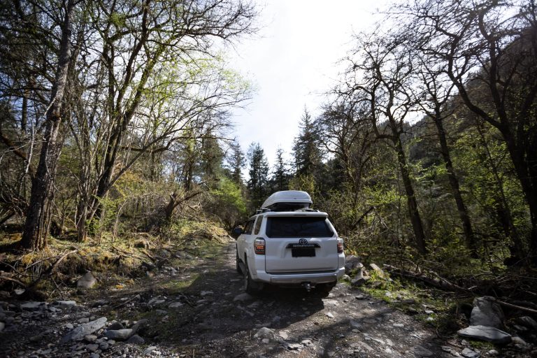 5 Common Myths About Diesel Engines, Busted! - white SUV driving through bushland